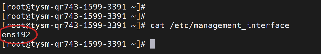 Step 9a | an EC network interface